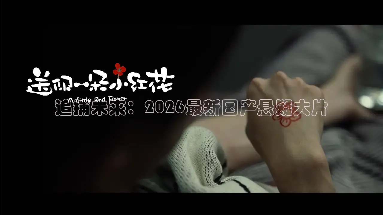 橙子影视